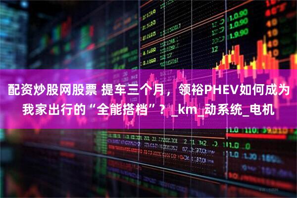 配资炒股网股票 提车三个月，领裕PHEV如何成为我家出行的“全能搭档”？_km_动系统_电机